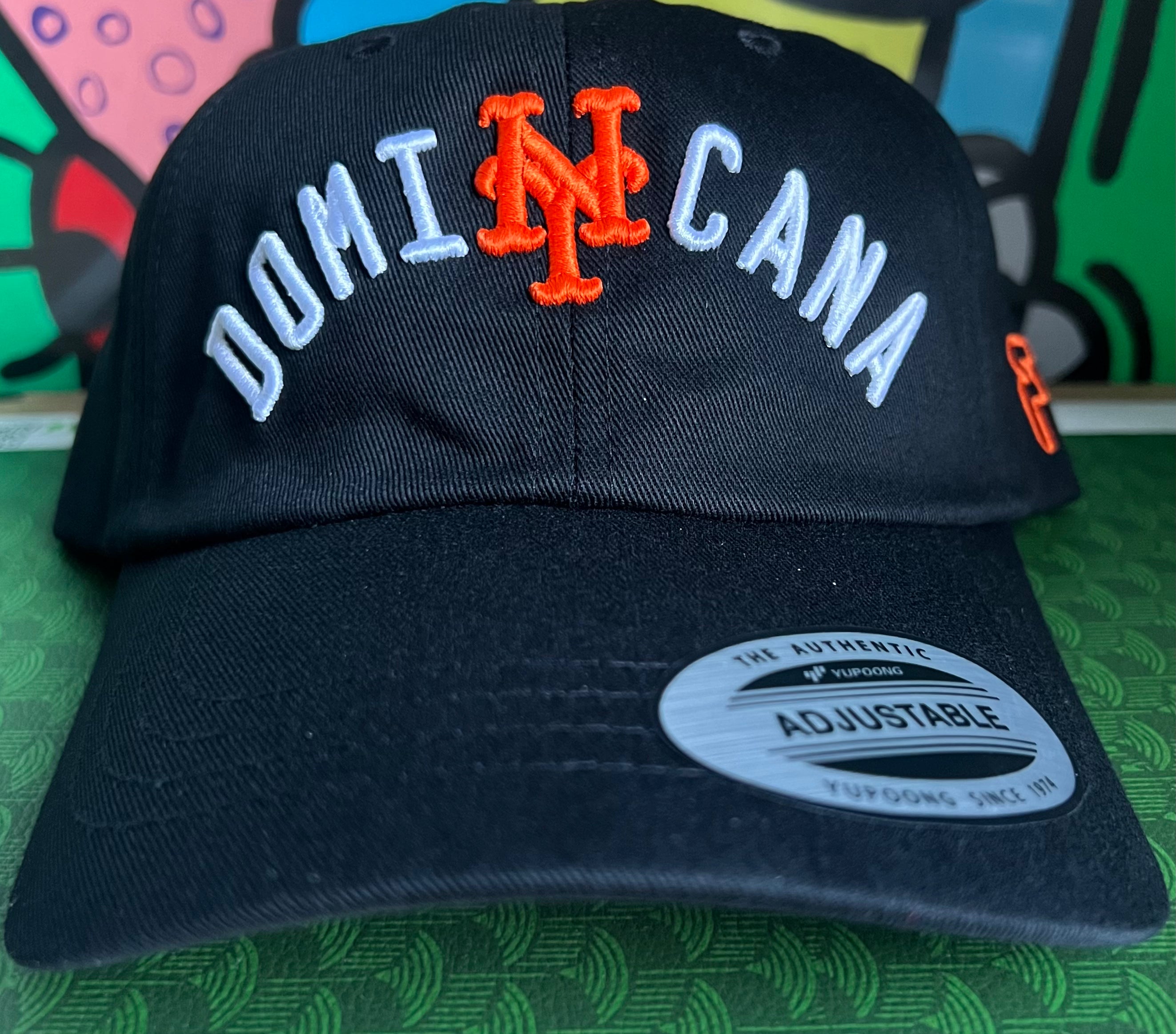 Met-sita Dad Hat